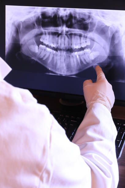 Best Emergency X-Rays and Diagnostics in Hudson, OH
